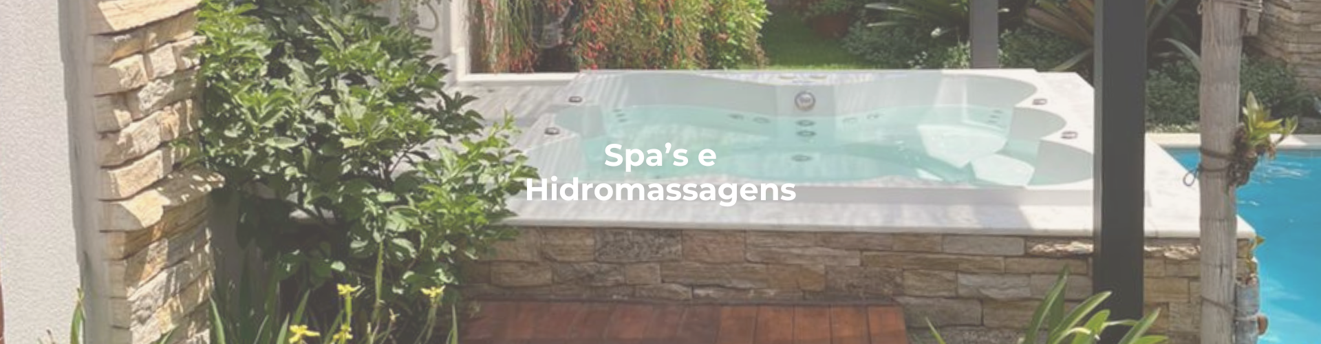 banner-spa